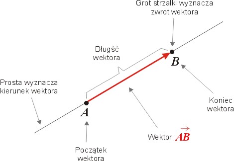 wektor i jego cechy: długość, kierunek, zwrot, początek wektora i koniec wektora